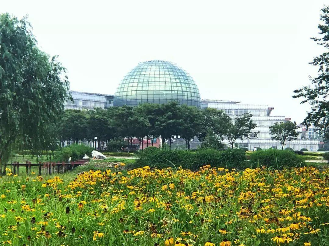 1-20122Q10942925.jpg